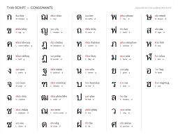 complete young miss bra size chart 2019