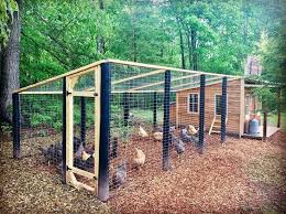 Pin On Chicken Raising And Homesteading