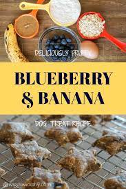 These Blueberry Banana Dog Treats Pack A Delicious And Nutritious Punch With Creamy A Dog Treats Homemade Recipes Dog Biscuit Recipes Easy Dog Treat Recipes