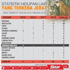 Namun tidak semua daerah di indonesia memberikan kesempatan bagi warganya untuk menikmati kehidupan alam liar, hanya segelintir saja yang masih. Statistik Hidupan Liar Yang Terkena Jerat