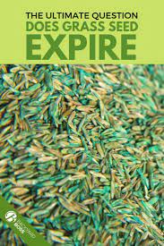 Does Grass Seed Really Expire Grass Seed Grass Seeds