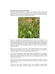 Pokok inai membawa pelbagai nostalgia terutamanya untuk kita yang membesar di kampung. Manfaat Daun Inai Yang Anda Perlu Tahu