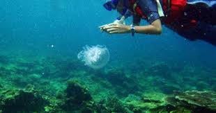 Snorkeling In Pulau Kerengga Besar Redang Island Visitmalaysia2014 Malaysia Places To Travel Redang Island Island