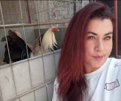 Y quizá también el buen gusto se hereda Me enseñaron el amor al gallo Le  enseñe a amar al gallo El ya sabe de amor al gallo Mi hijo, mi sobrino 🥰🐓y