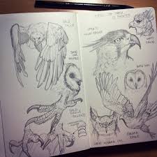 Https Www Instagram Com P Bouvyltaqsg Animal Drawings Bird Drawings Art Sketchbook
