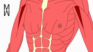 Check out amazing breastexpansion artwork on deviantart. X Ray Breast Expansion By Mullerwolff On Newgrounds