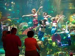 Free Things To Do In 10 Great Cities Las Vegas Activities Las Vegas Trip Las Vegas Vacation
