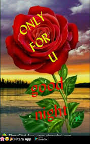 Only For Me Thank You Daizo Good Night Flowers Romantic Good Night Good Morning Beautiful Flowers