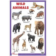 Wild Animals Educational Chart Learning Maps Education Bookstore Animals Wild Animals Animals Name In English