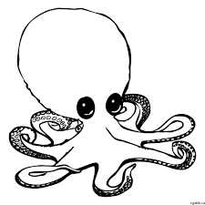 Cool drawings to trace over. Octopus Cartoon Drawing In 4 Steps With Photoshop Cartoon Drawings Drawing Cartoon Characters Skeleton Drawings