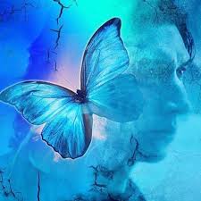 Tiff On Twitter Beautiful Butterflies Star Wars Love Star Wars Memes