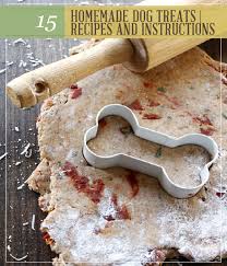 15 Homemade Dog Treats Recipes And Instructions Homesteading Simple Self Sufficient Off The Grid Homesteading Com Easy Dog Treats Diy Dog Treats Dog Cookies