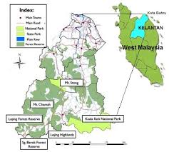 The slow flow of statistics from districts and states has caused delays in disseminating forest statistics and has also delayed publication of the department's annual report and forest statistics report. Pdf A Rapid Assessment Of Logging Effects On Bird Species In Kelantan Forests Areas Malaysia Ù¡ Semantic Scholar