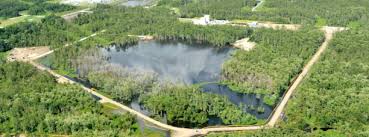 waves recorded at louisiana sinkhole