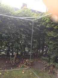 Muß bei einer gartenvernetzung auf einiges. Mit Katzennetz Einen Garten Sicheren Katzennetze Nrw Katzensicherheit Vom Experten