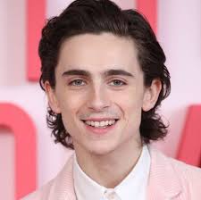 「蜘蛛人」彼得帕克差點換人當？不只提摩西夏勒梅與「小蜘蛛」擦身而過，初代蜘蛛人原本該是「他」？