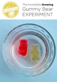 I had purchased a bag of gummy bears out of nostalgia. Growing Gummy Bear Experiment Tinkerlab