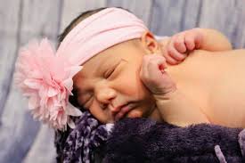 Alfredo's photography