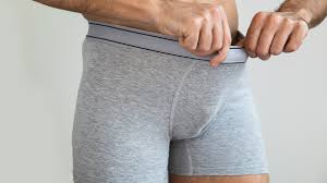 Image result for Varicocele