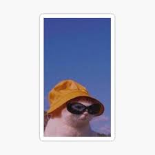 Cat in sunglasses retrowave neon aesthetics. Cat In Bucket Hat And Sunglasses Sticker By Angelslover Redbubble