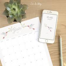 Et voyez pour chaque jour le lever et coucher du soleil de calendrier juin 2021. Le Calendrier Diy Juin 2021 Zu Le Blog