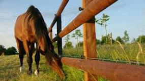 Fence Post Types - Choosing the Right Type For Your Fence