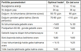 ineklerde fertilite demsa genetik
