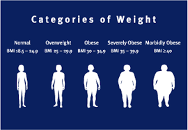 bmi are you really overweight