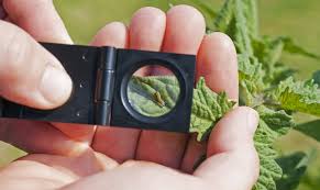 Over the years, we have established a solid reputation for effective and quality training. 3101003 Integrated Pest Management Open Learning And Educational Support