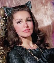 1 135 Likes 24 Comments Graeme Wood Woodg31 On Instagram Felinefuryfriday Felinefury Comics Tv Dc Batman Batman66 Robin Batgirl Villains