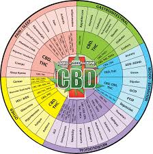 Cbd Wheel Whole Cannabis Plant Cbdisgoodforyou This