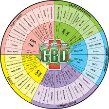 cbd wheel whole cannabis plant cbdisgoodforyou this