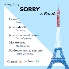 Much more formal is je vous demande pardon (= i ask for your forgiveness ). Hello Pal Knowing How To Say Sorry In Another Language Facebook