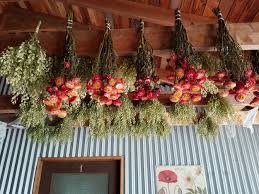 Something about upside down plants really strikes me as beautiful and intriguing. How To Grow Harvest And Dry Flowers For Arranging