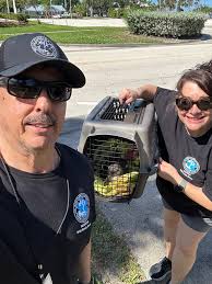 FINAL COYOTE UPDATE: It is with clouded eyes full of tears of relief that I  give the news that we got the coyote!! We know gushy thanks can get  nauseating BUT our