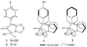 Image result for Peponium sp. A