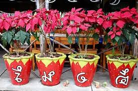 They are most often intentionally planted for aesthetic appeal. Flowerpot Flowers Deco Flower Plant Pot Pots Ornamental Plant Geranium Planted Gartendeko Pikist
