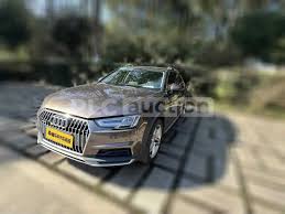 Image result for Argus Brown 2019 A4