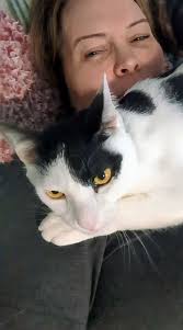 3 things to do as a woman after you feel unappreciated and unloved by  humans when you go outside 😢 1) come home to your cats 2) take off your  bra 3)