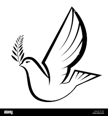 Dove with olive branch hi-res stock ...
