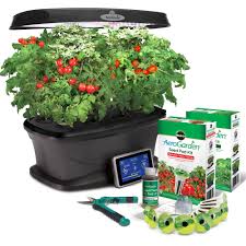 Transplanting aerogarden tomatoes aerogarden seed starting system for aerogarden sprout transplanting aerogarden tomatoes aero garden | herbs indoors, indoor herb garden, growing transplanting aerogarden tomatoes in desperate need of a pruning. Pruning Tomatoes Aerogarden