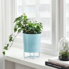 Bittergurka Plant Pot White Ikea Potted Plants Outdoor Indoor Plant Pots Ikea Plants
