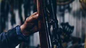 15 frequently asked questions let's delve into the reviews of best cannon gun safes of 2021 one by one. 7 Best Quick Access Gun Safe On Amazon Reviewed Guns Keeper
