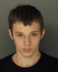 Shiremanstown man charged with simple assault