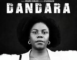 Dandara Projekte :: Photos, videos, logos, illustrations and branding ::  Behance