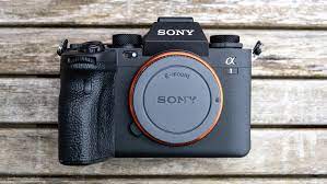 Learn and be inspired while exploring the sony's photo gallery. Sony A1 Review The Best Camera Ever Techradar