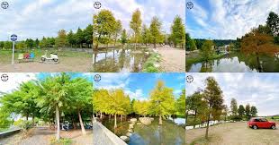 Include (or exclude) self posts. å°ä¸­å¸‚åŽé‡Œå€æ—…éŠè¡Œç¨‹æŽ¨è–¦æ³°å®‰è½ç¾½æ¾ å°ä¸­æ™¯é»ž åŽé‡Œæ™¯é»ž 2020æ³°å®‰è½ç¾½æ¾ç¥•å¢ƒ æ³°å®‰åœ‹å°æ— ç§‹å­£è½ç¾½æ¾å­£ç¯€é–‹è·'å›‰