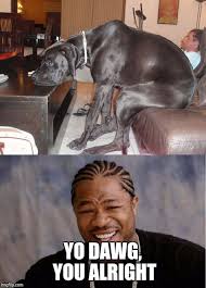 Image Tagged In Yo Dawg Imgflip