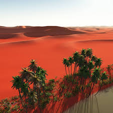 Palm Trees Near Oasis Desert Trees Palm Trees Landscape