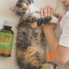 Tripsy For Cats Cat Care Kitten Care Cute Cats And Dogs